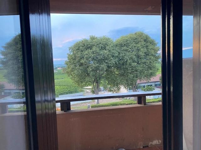 10 Minuti Dal Lago Di Garda E Da Gardaland Castelnuovo del Garda Exteriér fotografie